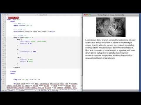 How to Center an Image Horizontally (CSS & HTML Tutorial)