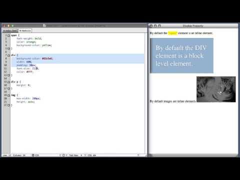 CSS Display Property Tutorial