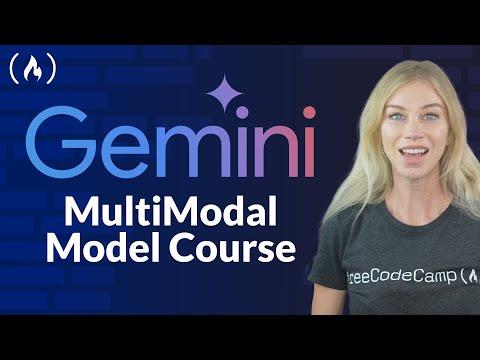 Gemini AI MultiModal Model Course